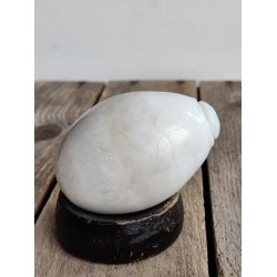 Snyde�g i porcel�n