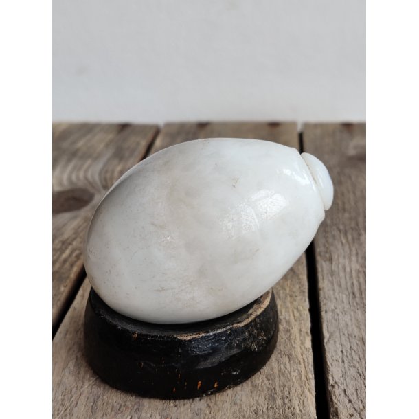 Snyde�g i porcel�n