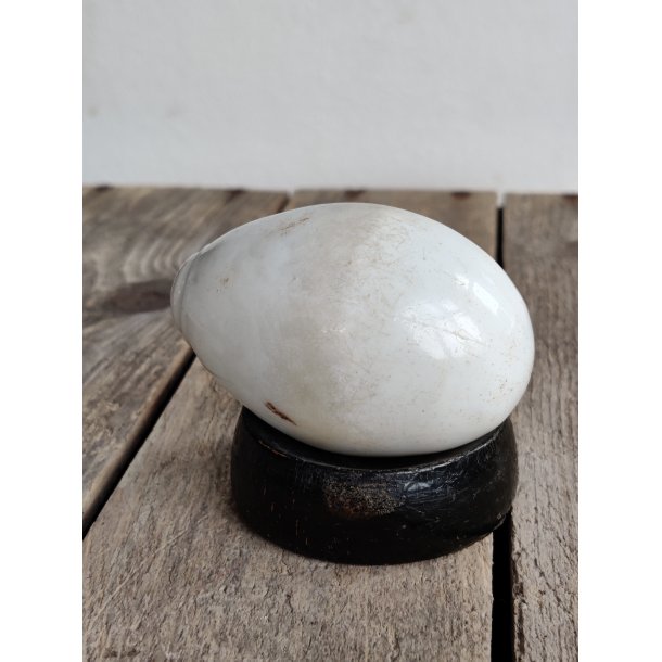 Snyde�g i porcel�n