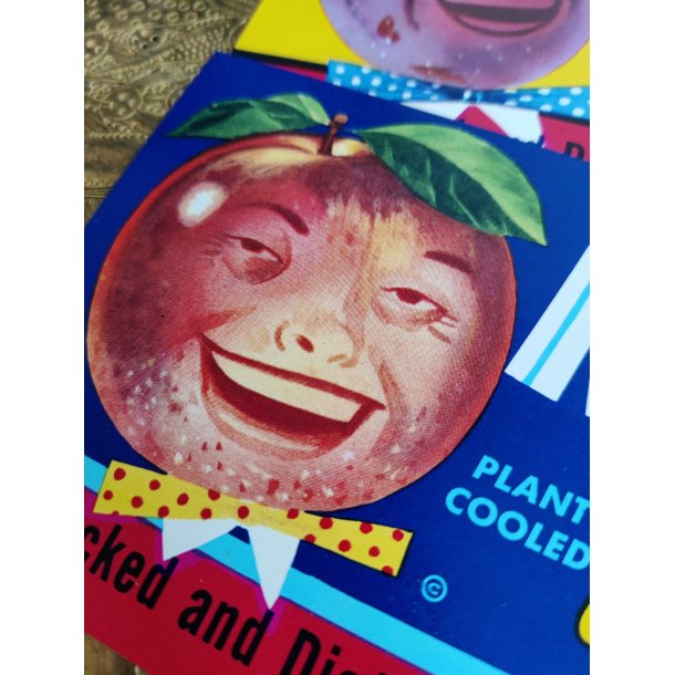 Originale frugtkasse labels med frugter