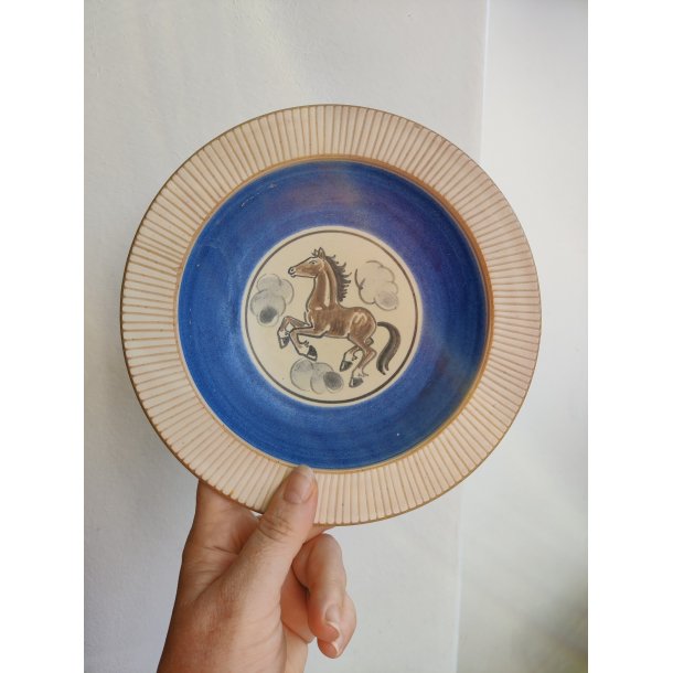 Einar Johansen sk�l med hest