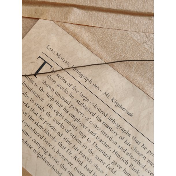 Lars M�ller: Hjortetakken seet fra Dalen ved Kobberfjorden Gr�nland, 1863