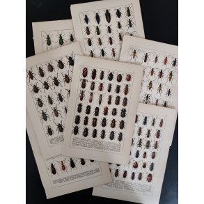 Lot antikke tryk med biller, 1916