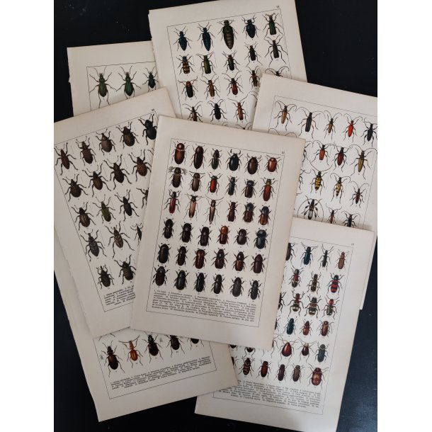 Lot antikke tryk med biller, 1916