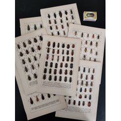 Lot antikke tryk med biller, 1916