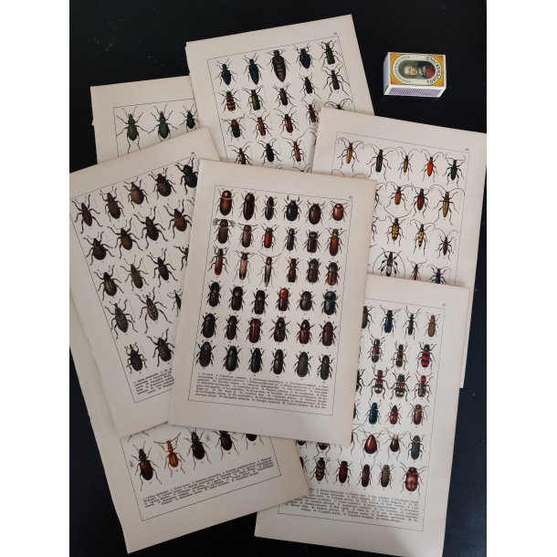 Lot antikke tryk med biller, 1916