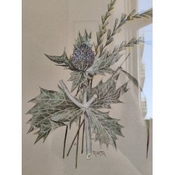 Botanisk tryk af tidsel, ca. 1974