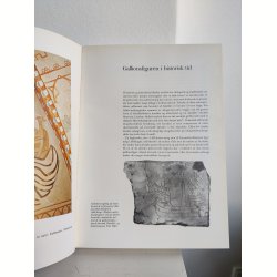 Gallionsfigurer. Storformat kunstbog af Hanne Poulsen, 1976