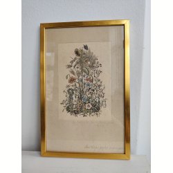 Vintage litografisk farvetryk: den blomstrende have
