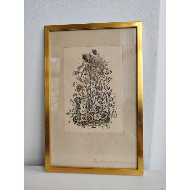 Vintage litografisk farvetryk: den blomstrende have