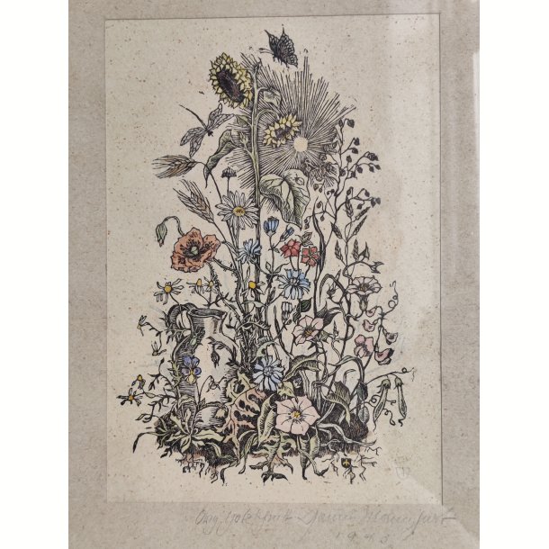 Vintage litografisk farvetryk: den blomstrende have