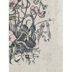 Vintage litografisk farvetryk: den blomstrende have