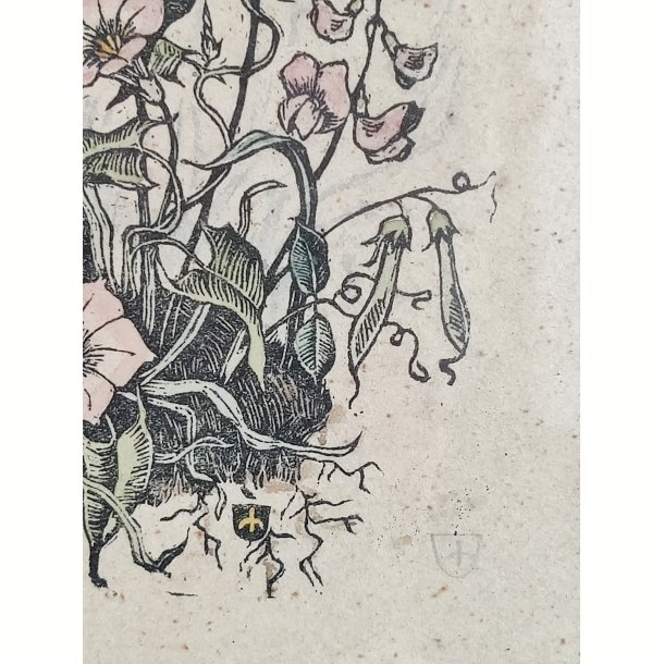 Vintage litografisk farvetryk: den blomstrende have