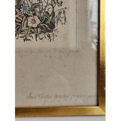 Vintage litografisk farvetryk: den blomstrende have