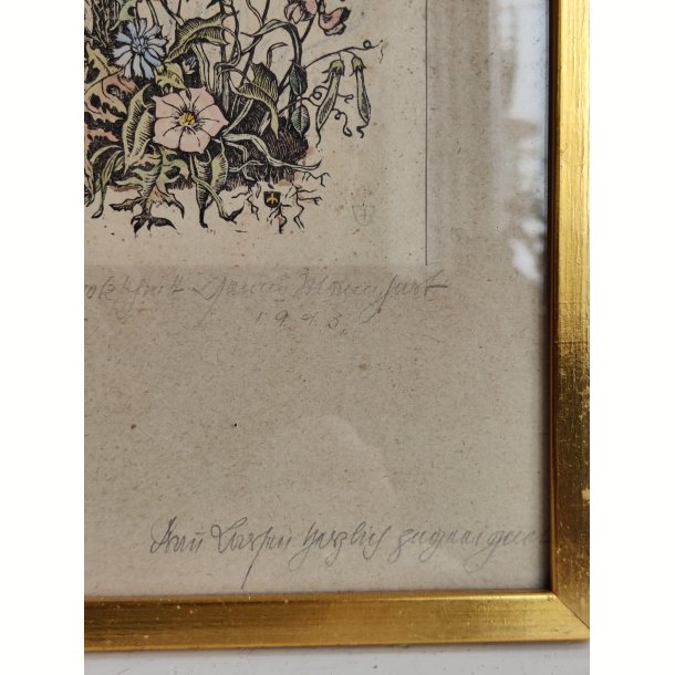 Vintage litografisk farvetryk: den blomstrende have
