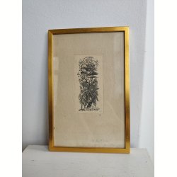 Vintage litografisk tryk, livet og d�den