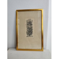 Vintage litografisk tryk, livet og d�den