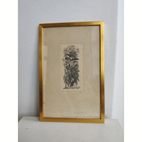 Vintage litografisk tryk, livet og d�den