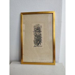 Vintage litografisk tryk, livet og d�den