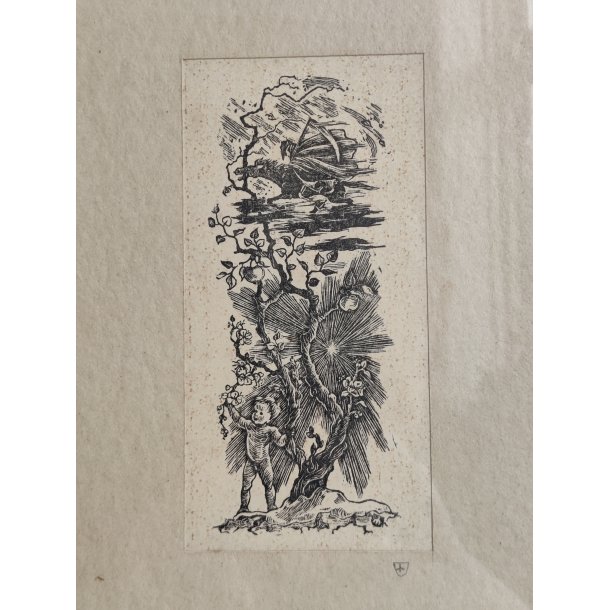 Vintage litografisk tryk, livet og d�den