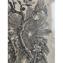 Vintage litografisk tryk, livet og d�den