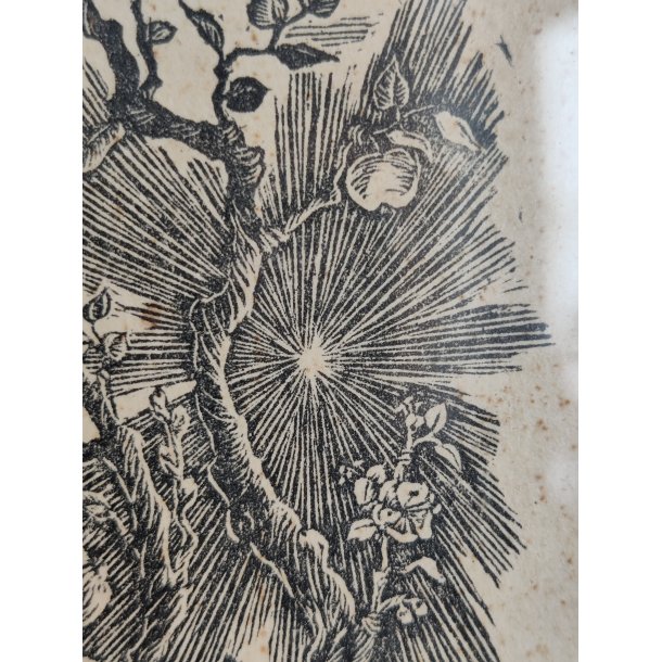 Vintage litografisk tryk, livet og d�den