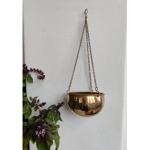 Messingoph�ng til planter