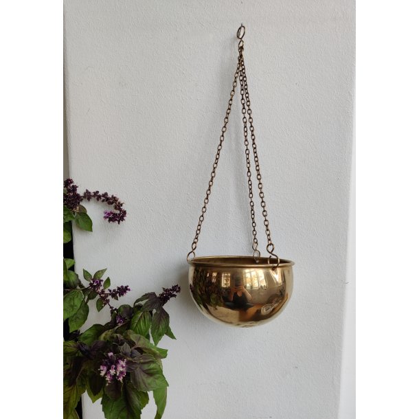 Messingoph�ng til planter