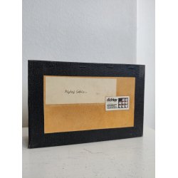 Pighaj gebis i udstillingskasse