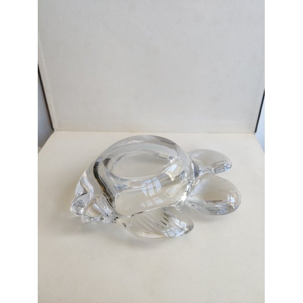 Fransk glasfisk fra Vannes-Le-Chatel til sm�ting