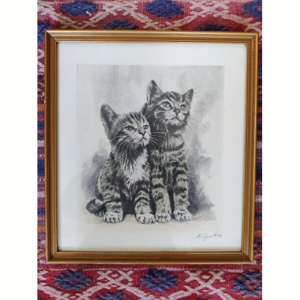 Vintage tryk af fluffy kattekilllinger