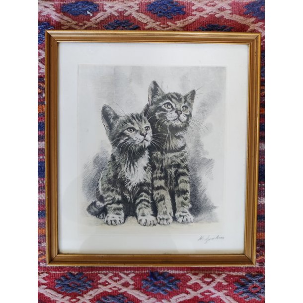 .Vintage tryk af fluffy kattekilllinger