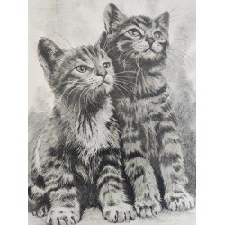 .Vintage tryk af fluffy kattekilllinger