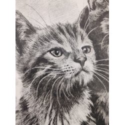 .Vintage tryk af fluffy kattekilllinger