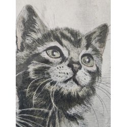 .Vintage tryk af fluffy kattekilllinger