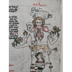 Medicinske tryk 1912: Erstlinge der Syphilisliteratur aus den Jahren 1495 und 1496