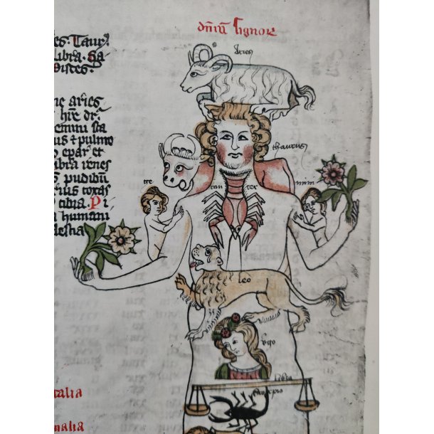 Medicinske tryk 1912: Erstlinge der Syphilisliteratur aus den Jahren 1495 und 1496