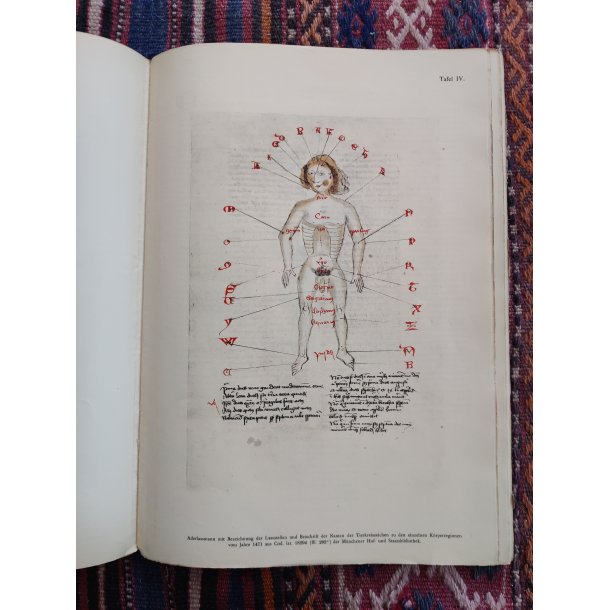 Medicinske tryk 1912: Erstlinge der Syphilisliteratur aus den Jahren 1495 und 1496