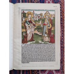 Medicinske tryk 1912: Erstlinge der Syphilisliteratur aus den Jahren 1495 und 1496