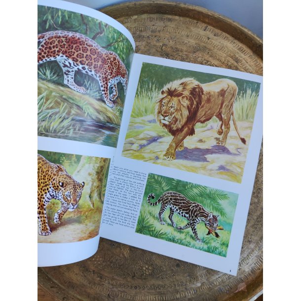 Walter T. Foster: The cats in action 