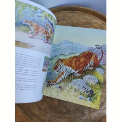 Walter T. Foster: The cats in action 