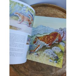 Walter T. Foster: The cats in action 