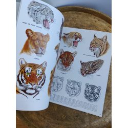 Walter T. Foster: The cats in action 