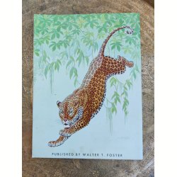Walter T. Foster: The cats in action 