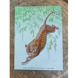 Walter T. Foster: The cats in action 