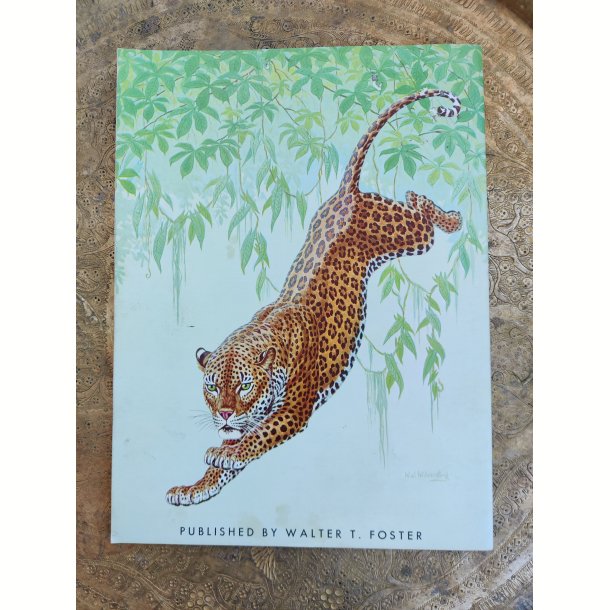 Walter T. Foster: The cats in action 