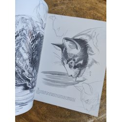 Walter T. Foster: How to draw cats