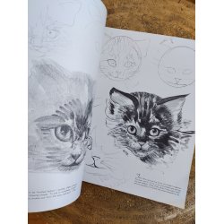 Walter T. Foster: How to draw cats
