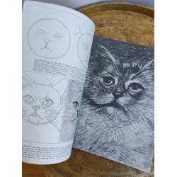 Walter T. Foster: How to draw cats