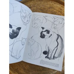Walter T. Foster: How to draw cats